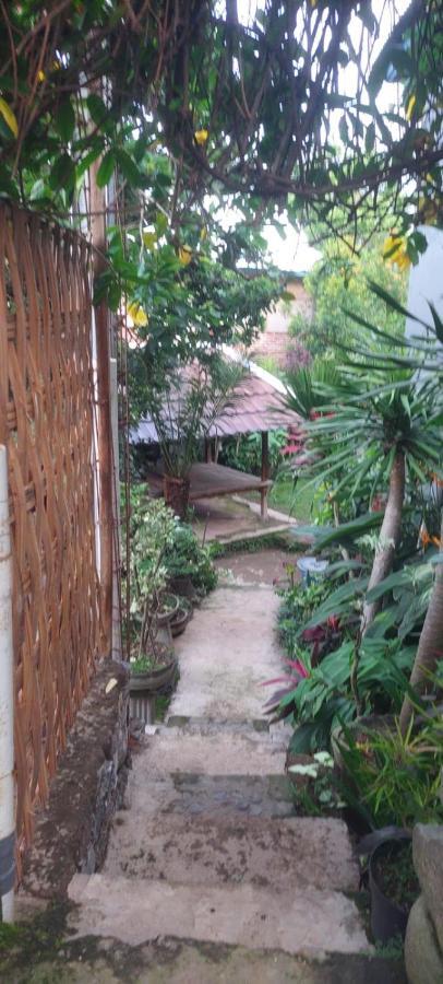Akria Bed And Breakfast Bayan 外观 照片
